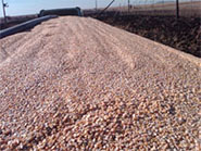 maize load